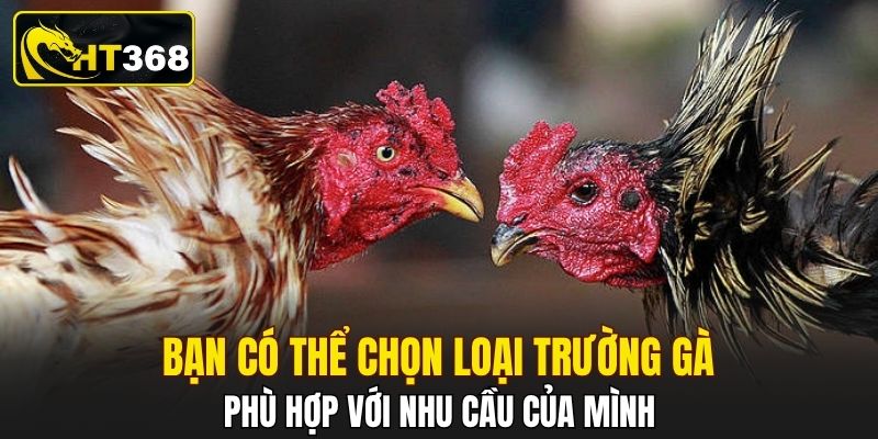 Bạn có thể chọn loại trường gà phù hợp với nhu cầu của mình
