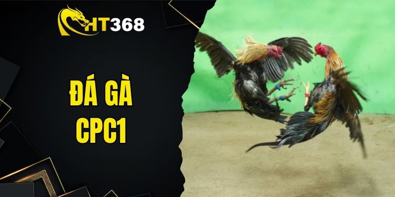 Đá gà CPC1