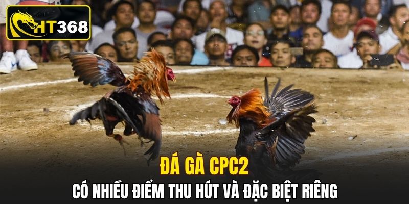 Đá gà CPC2 có nhiều điểm thu hút và đặc biệt riêng