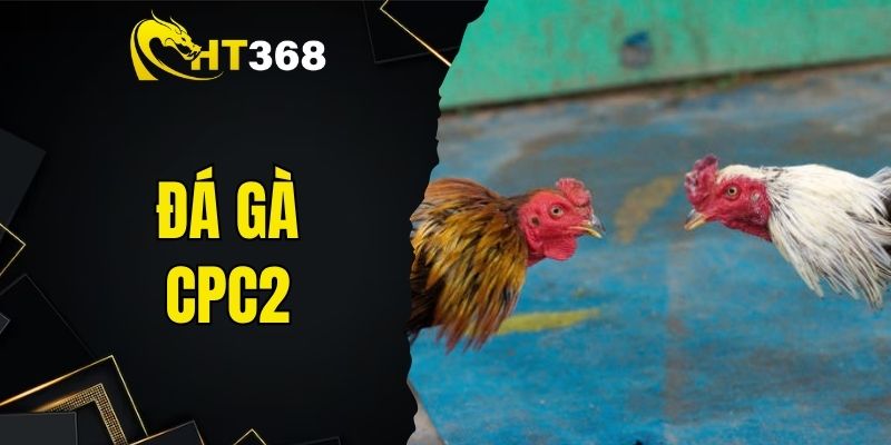 đá gà CPC2
