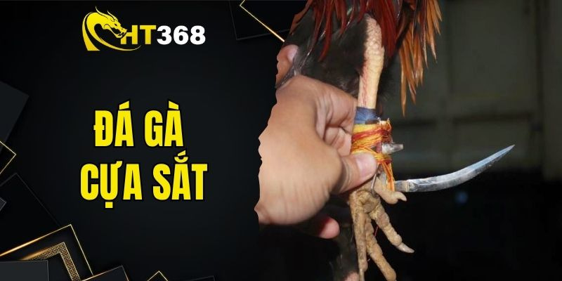 đá gà cựa sắt
