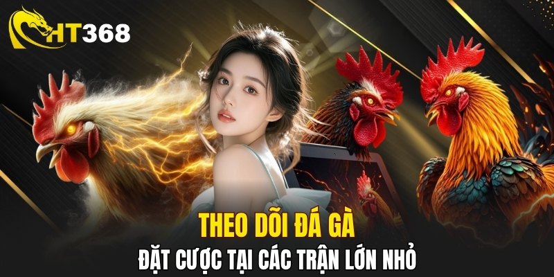 Theo dõi các trận đấu gà trực tiếp cực hay ho 