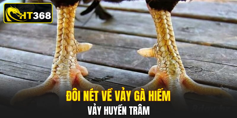 Đôi nét về vảy gà hiếm - vảy huyền trâm