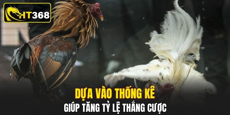 Dựa vào thống kê giúp tăng tỷ lệ thắng cược