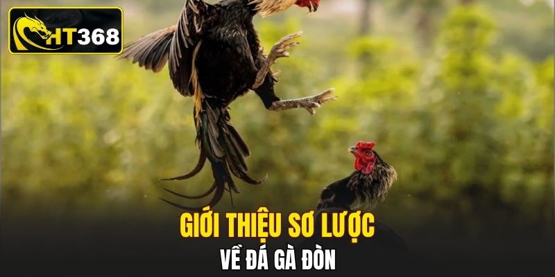 Giới thiệu sơ lược về đá gà đòn 