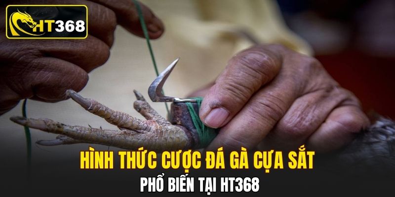 Hình thức cược đá gà cựa sắt phổ biến tại HT368
