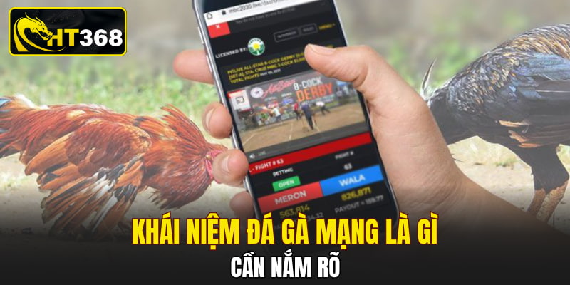 Khái niệm đá gà mạng là gì cần nắm rõ
