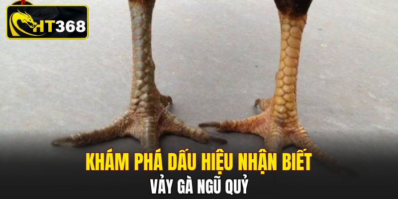 Khám phá dấu hiệu nhận biết vảy gà ngũ quỷ