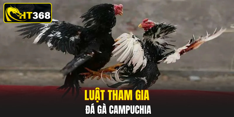Luật tham gia đá gà Campuchia