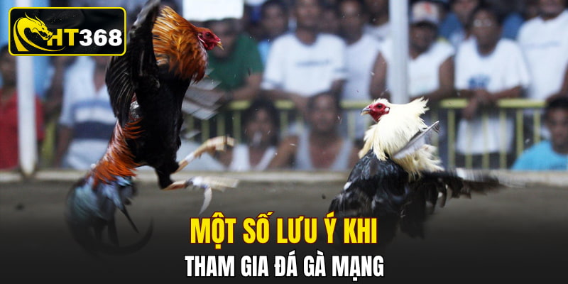 Một số lưu ý khi tham gia đá gà mạng