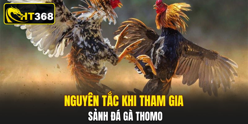 Nguyên tắc khi tham gia sảnh đá gà Thomo
