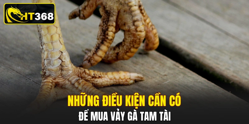 Những điều kiện cần có để mua vảy gà tam tài