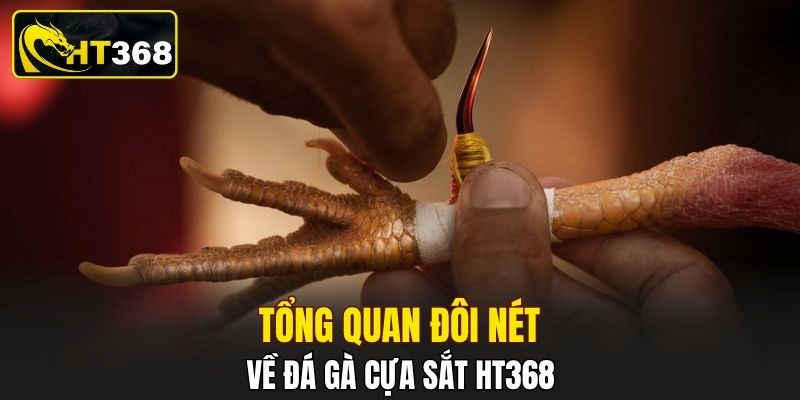 Tổng quan đôi nét về đá gà cựa sắt HT368 