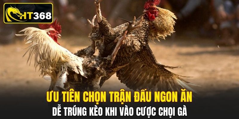 Ưu tiên chọn trận đấu ngon ăn, dễ trúng kèo khi vào cược chọi gà