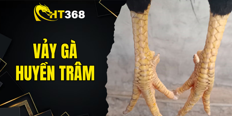 vảy gà huyền trâm