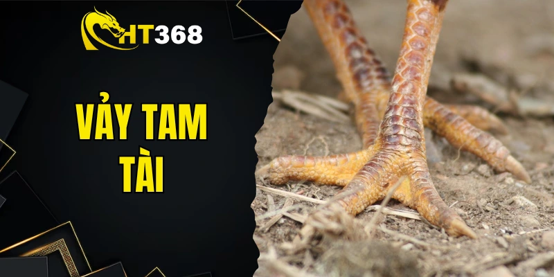 vảy tam tài